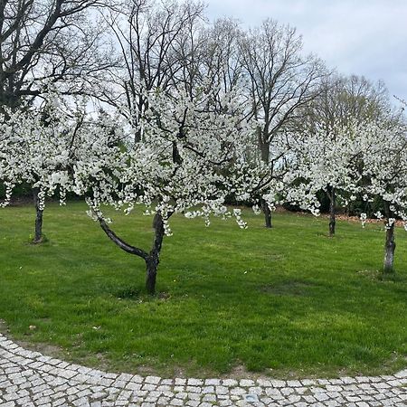 "Wisniowy Sad"Agroturystyka Iława Exteriér fotografie
